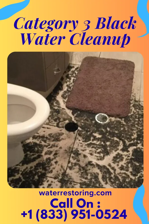 Category 3 Black Water Cleanup in Schaller, IA