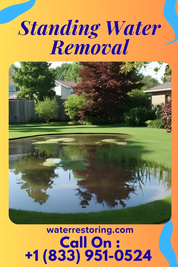Standing Water Removal in Schaller, IA